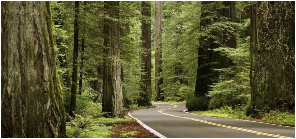 Brand USA - The Great Outdoors: majestic nature from San Francisco to Seattle