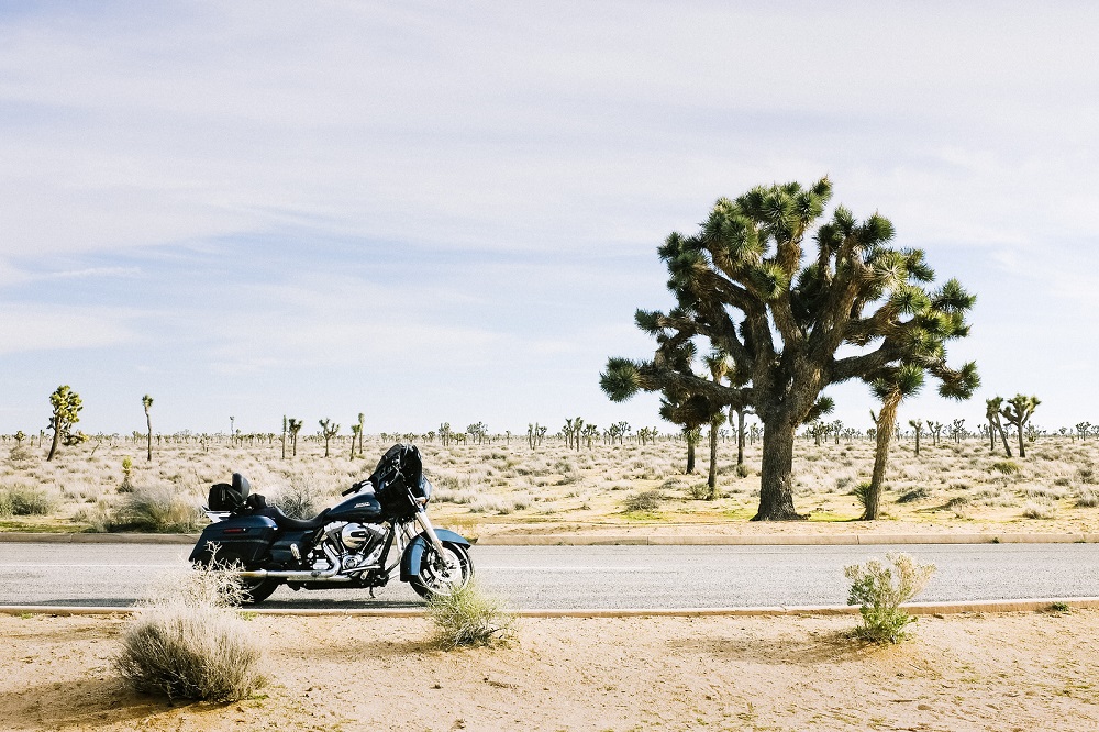 Motorcycle Tour: West, from Los Angeles to Las Vegas