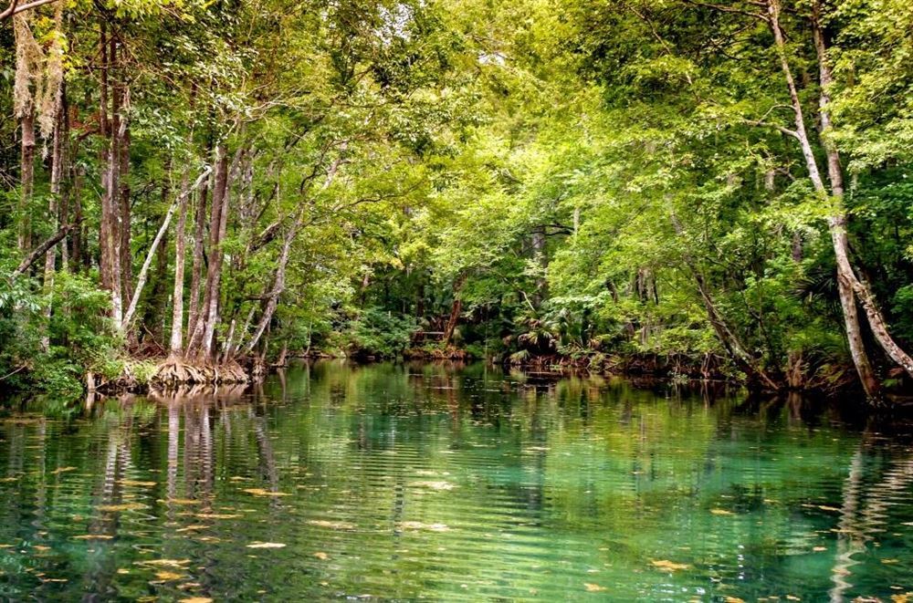 Brand USA: Florida Complete with Sun, Fun and Fantasy