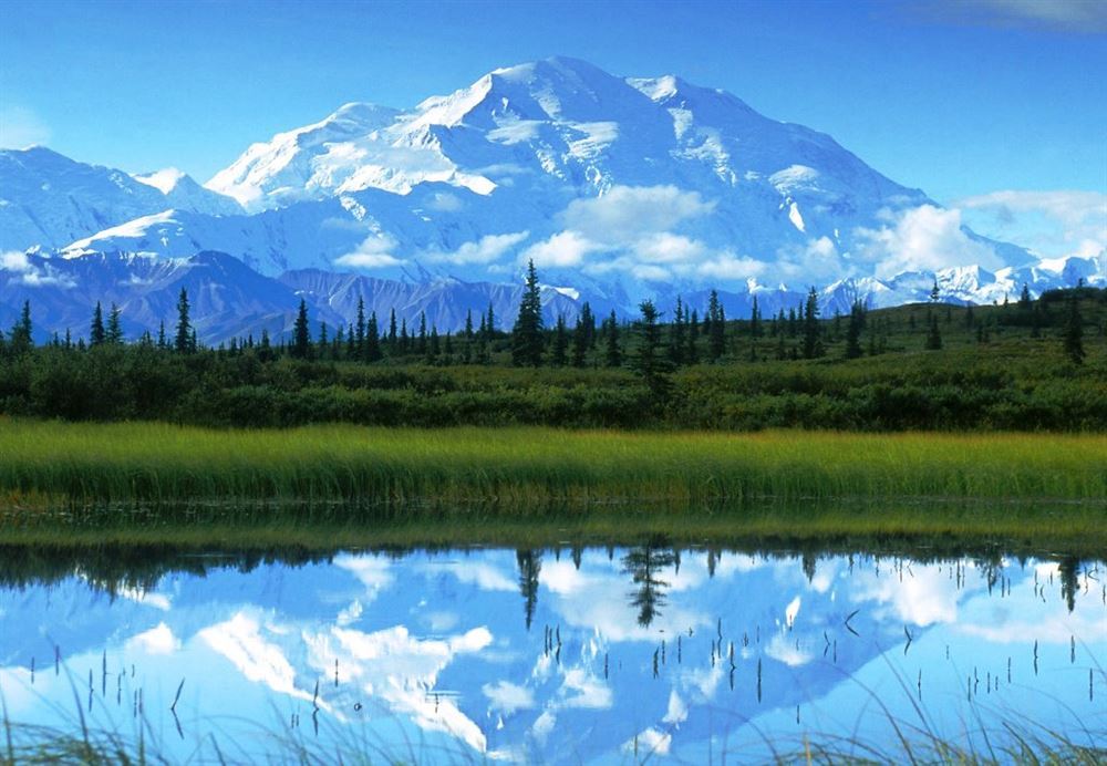 Tour 1519 Alaska Highlights in Ten Days