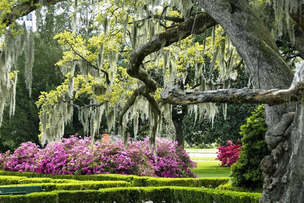 Travel South: from New Orleans to Memphis through Arkansas