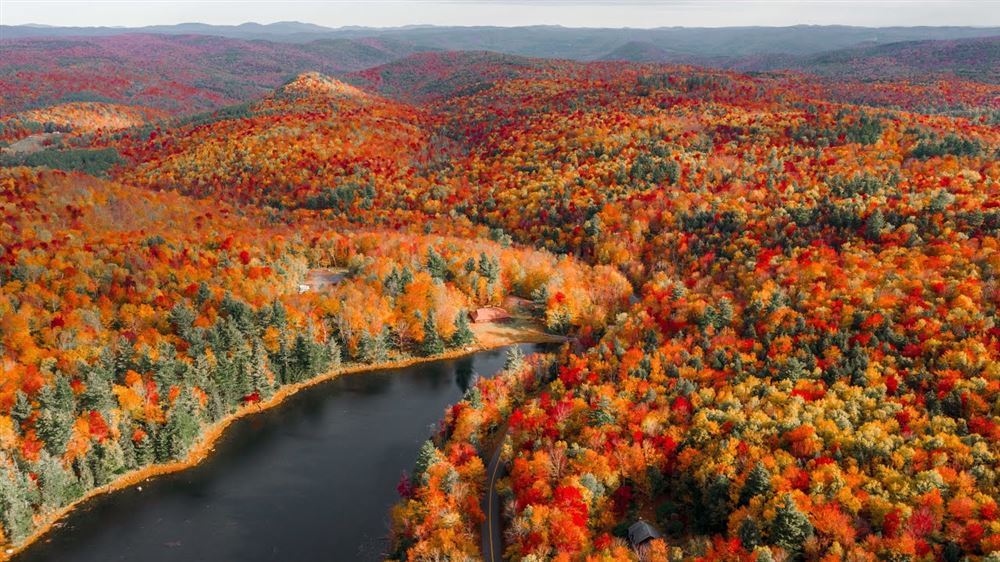 New England - Fall Foliage Tour in one week